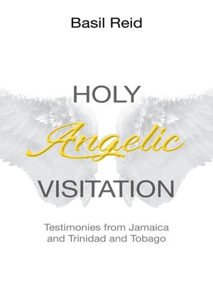cover image of Holy Angelic Visitation